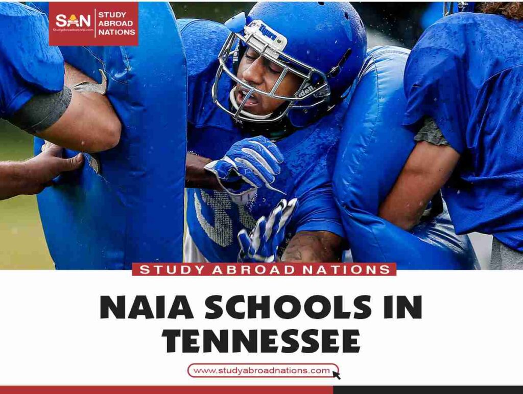NAIA Schools in Tennessee