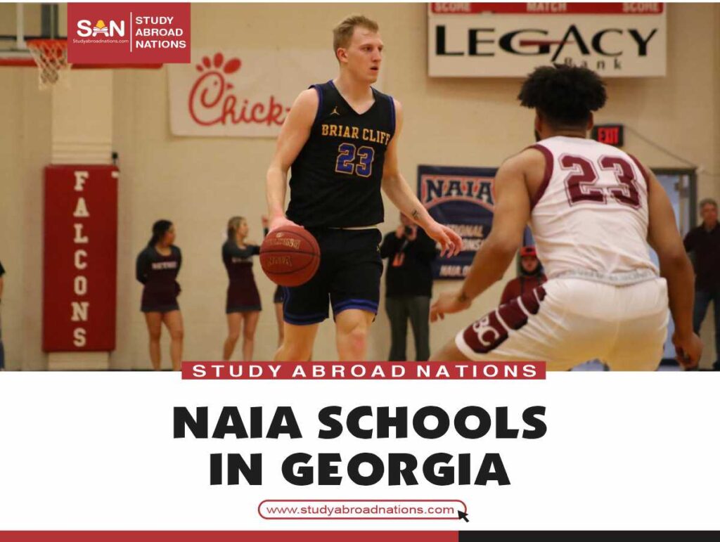 NAIA Schools in Georgia