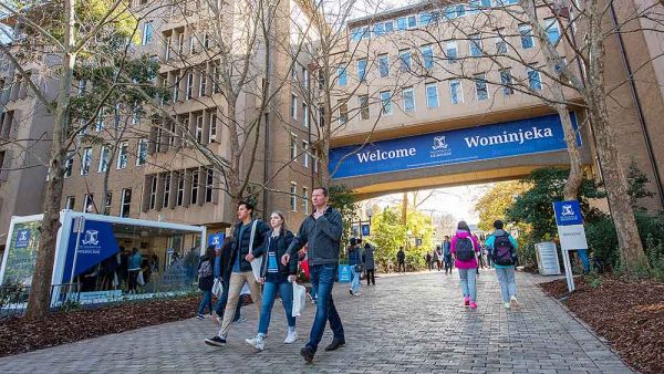 Australiens bästa universitet för internationella studenter