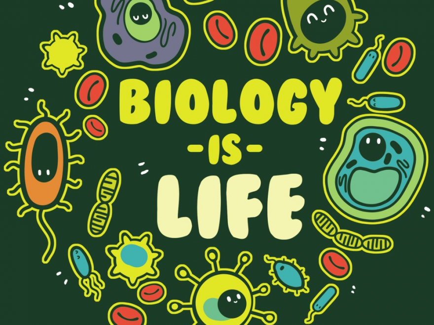 best biology schools in California