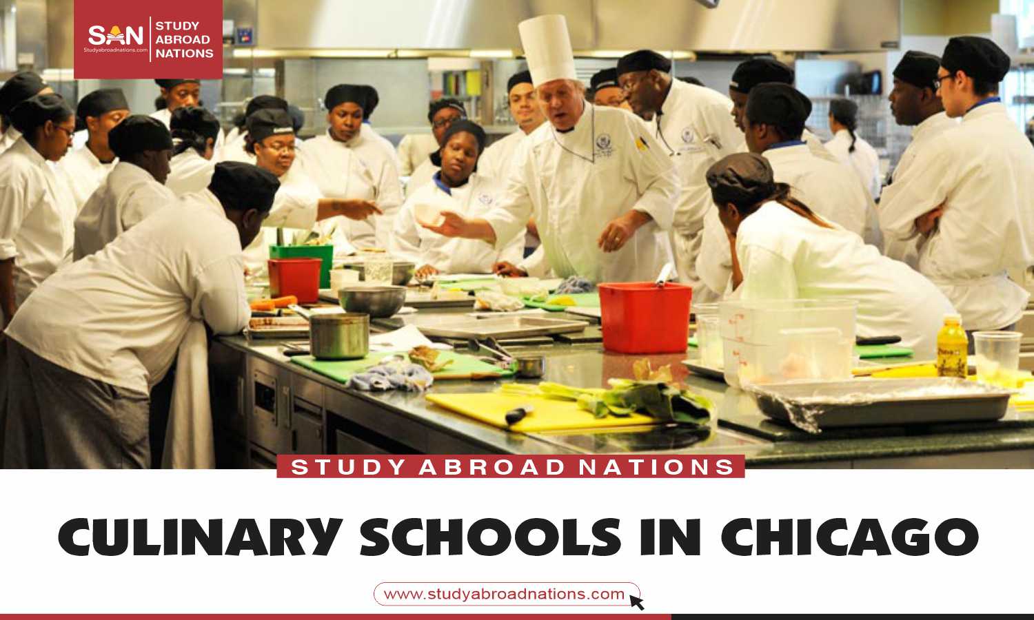 chicago culinary school
