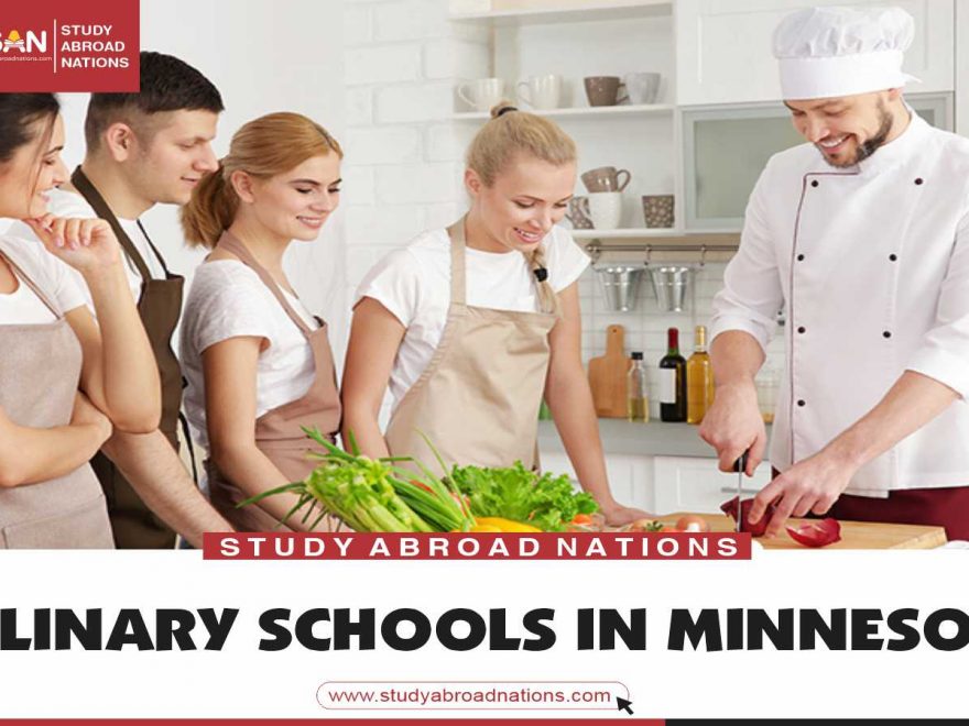 Minnesota'da aşçılık okulları