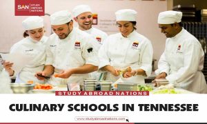 kulinaariset koulut Tennesseessä
