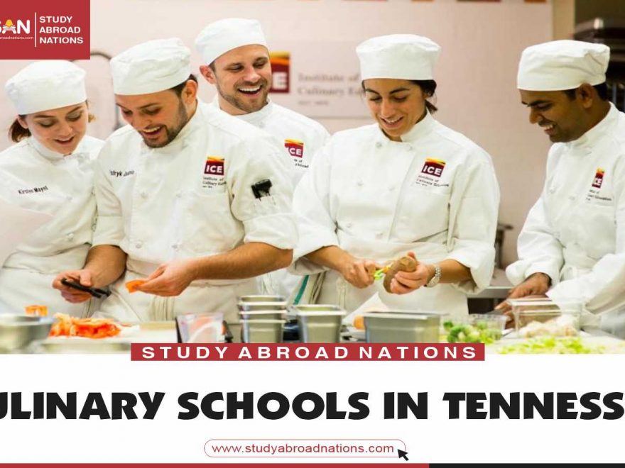 Tennessee'deki aşçılık okulları