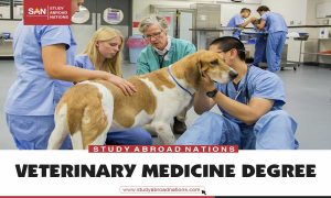veterinary medicine degree