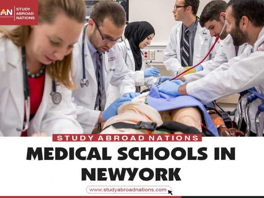 New York'ta tıp okulları