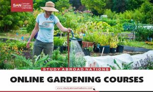 Cours de jardinage en ligne