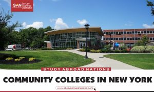 community colleges in New york