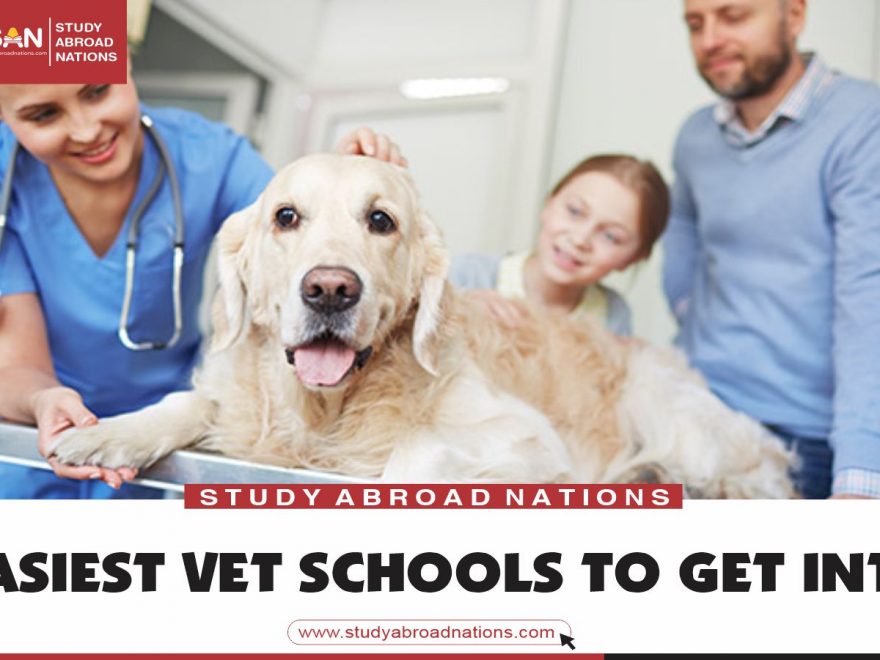 Escolas veterinárias mais fáceis de entrar