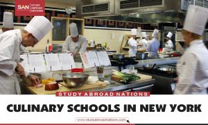 culinary school in new york