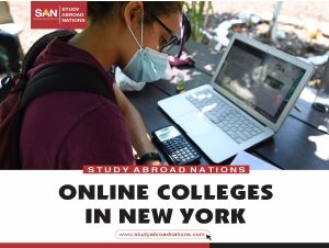 الكليات عبر الإنترنت في نيويورك