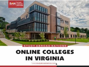 online vysoké školy ve Virginii