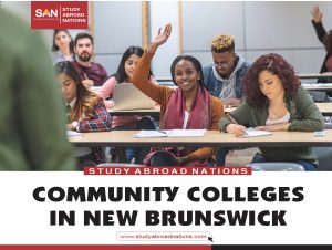 COMMUNITY COLLEGES IN NEW BRUNSWICK
