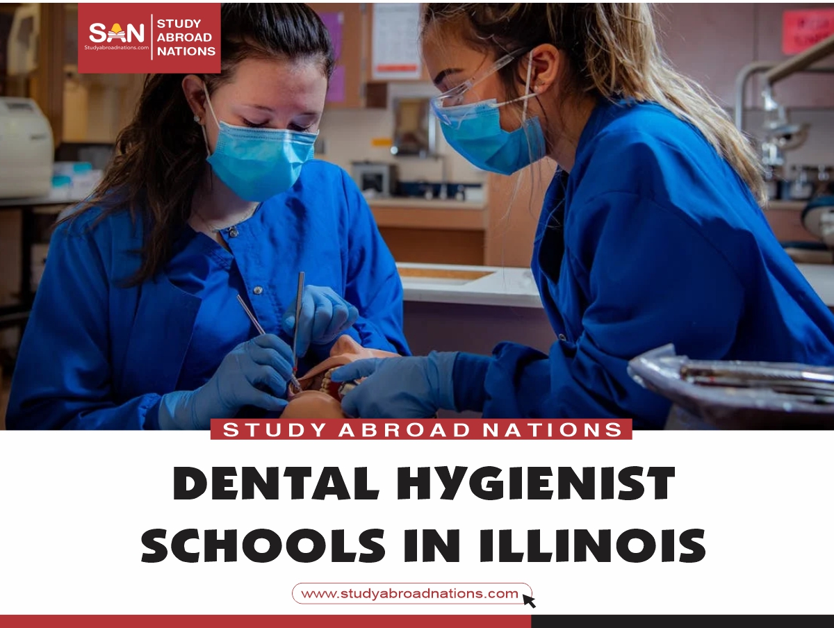 Illinois ရှိ သွားဘက်ဆိုင်ရာသန့်ရှင်းရေးသင်တန်းကျောင်းများ