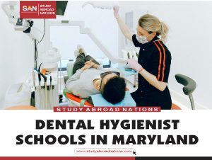 مدارس صحة الأسنان في ماريلاند