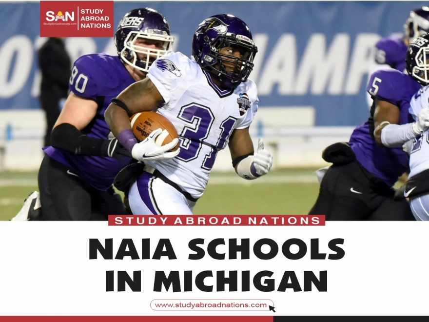 NAIA schools in Michigan