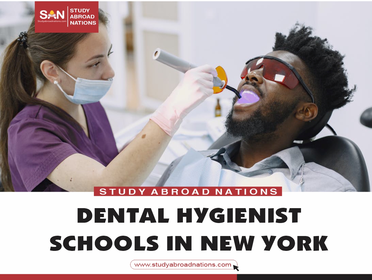 Szkoły higienistki stomatologicznej w Nowym Jorku