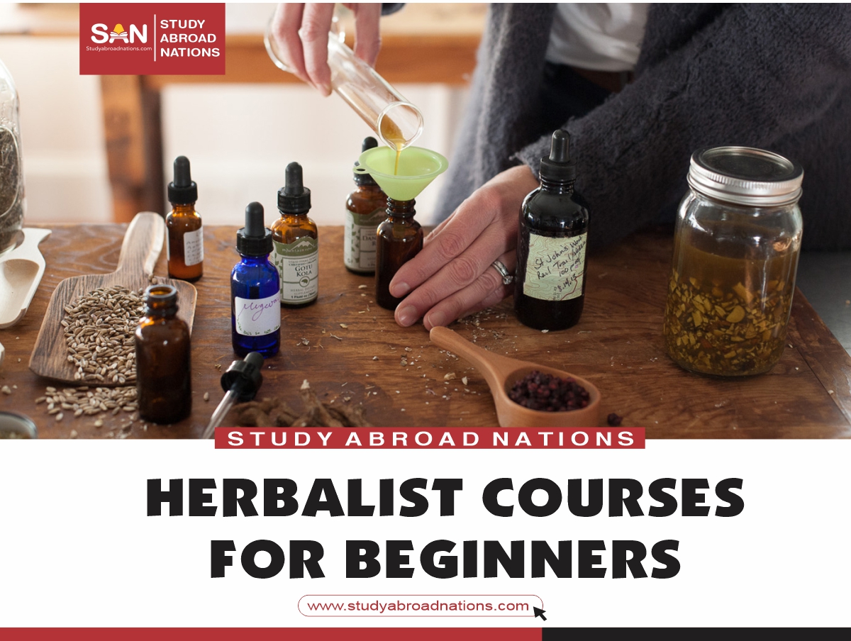 Herbalist Courses for Beginners