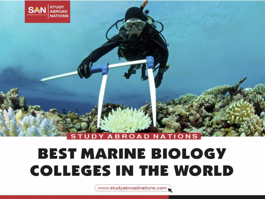 המכללות הטובות ביותר לביולוגיה ימית בעולם