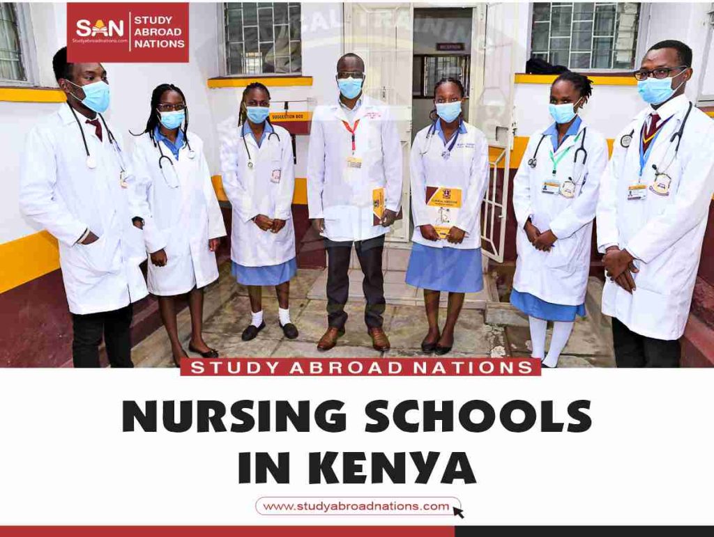 dibistanên hemşîre li Kenya