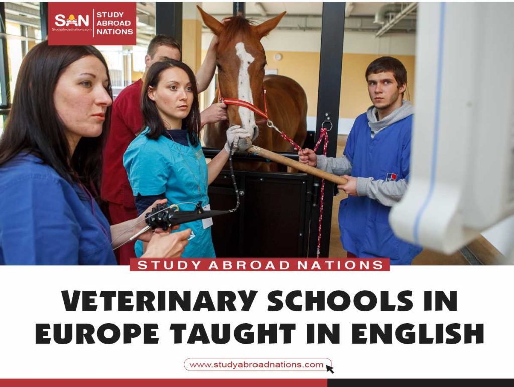 veterinary schools in Europe taught in English