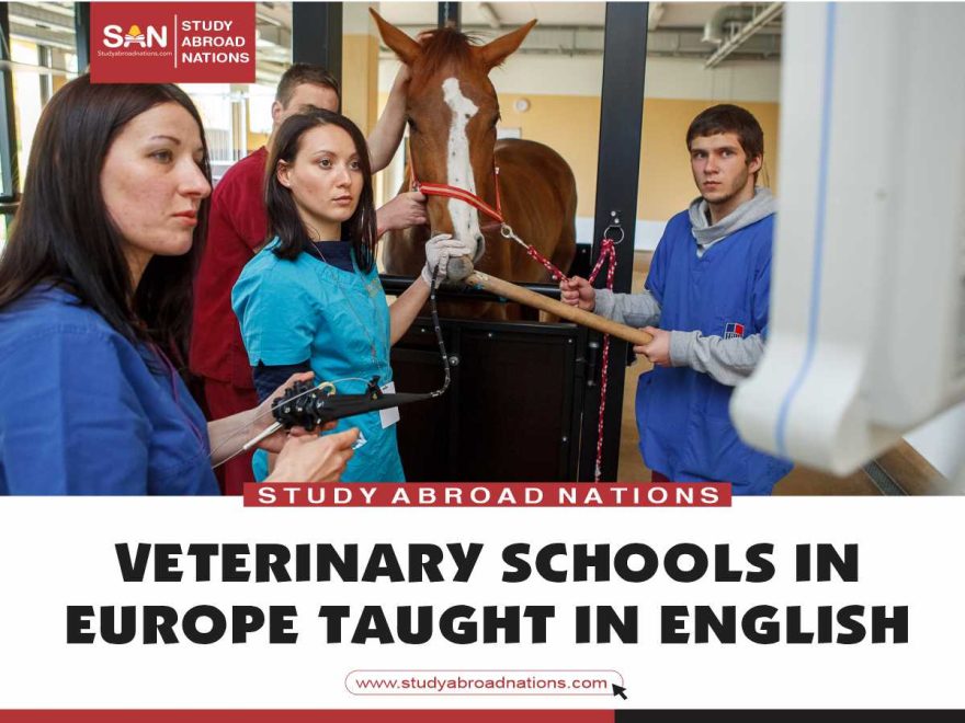 eläinlääkintäkouluissa Euroopassa opetettiin englanniksi