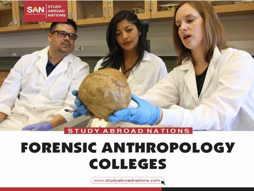 forensic anthropology colleges