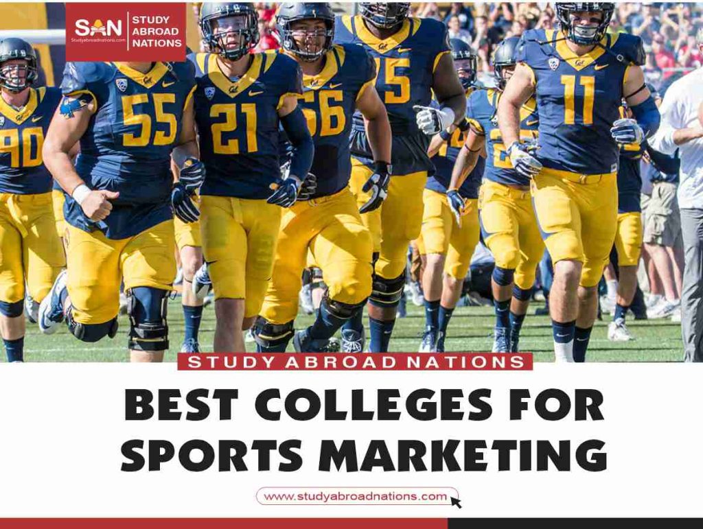 best colleges for sports marketing