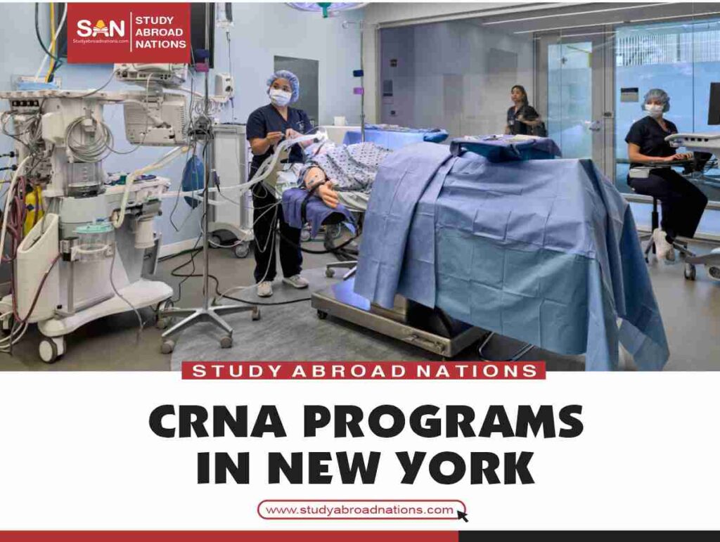 Programy CRNA w Nowym Jorku