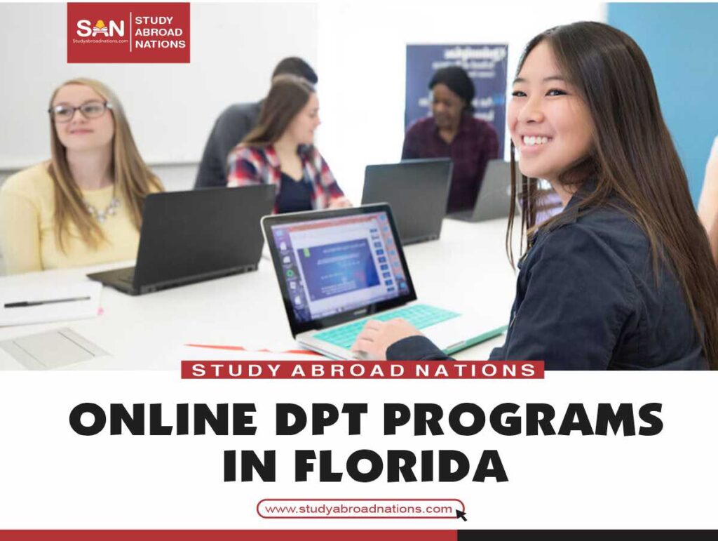 programe online DPT în Florida