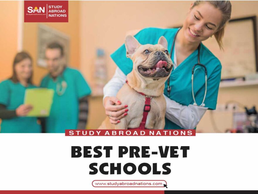 best pre-vet schools
