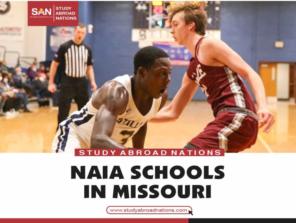 Missouri'deki NAIA Okulları