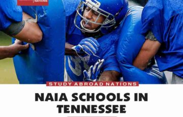 Tennessee'deki NAIA Okulları