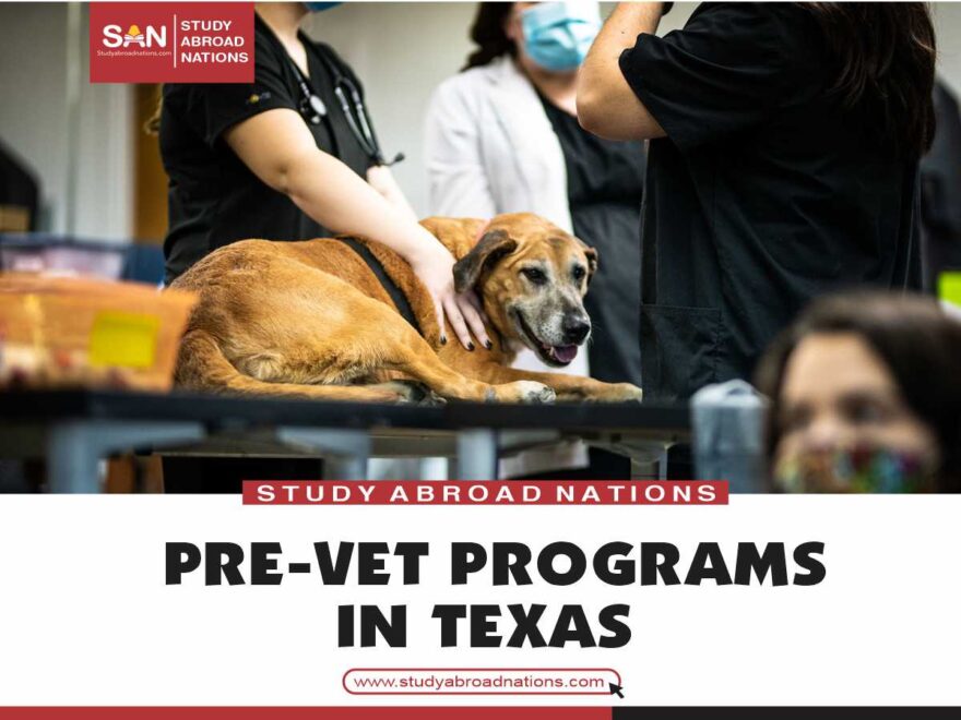 Pre-vet programs in Texas
