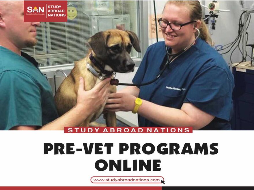 best pre-vet programs online