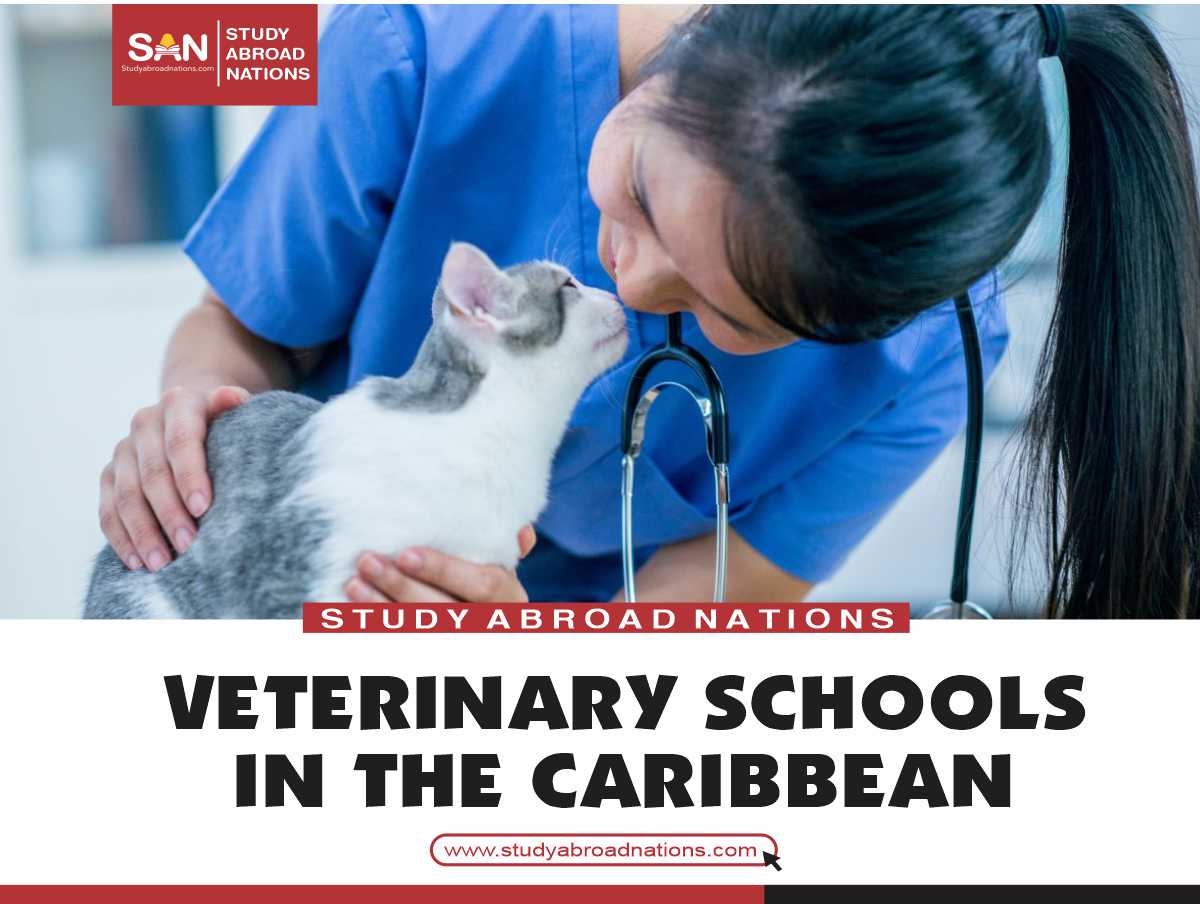 4 Veterinary Schools In The Caribbean 2024