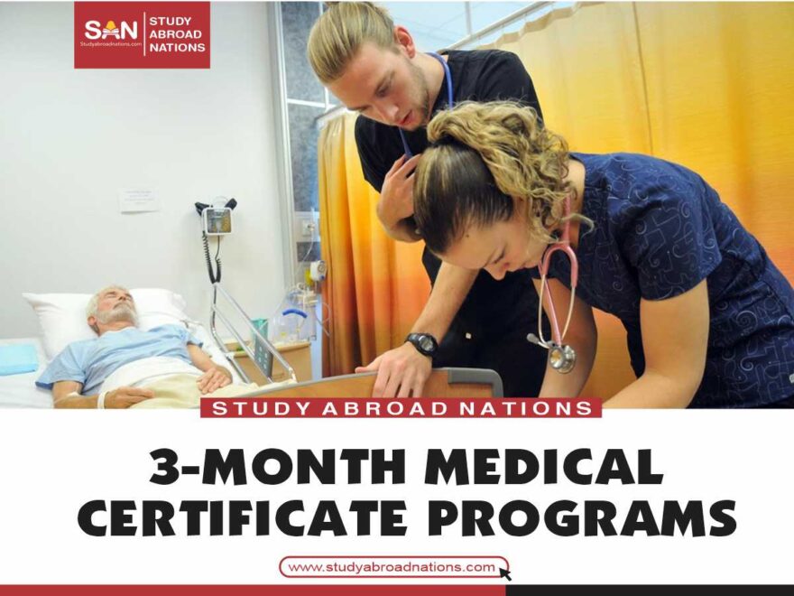 3-miesięczne programy certyfikatów medycznych