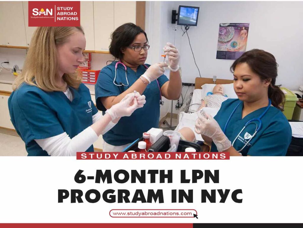 6-month LPN program in NYC