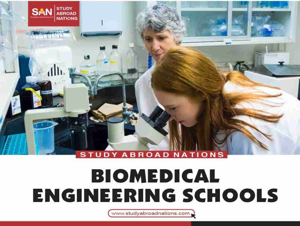biomedical engineering schools