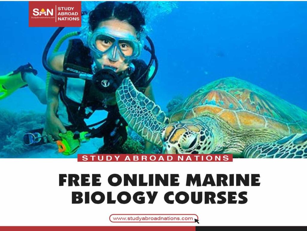 ücretsiz çevrimiçi deniz biyolojisi kursları