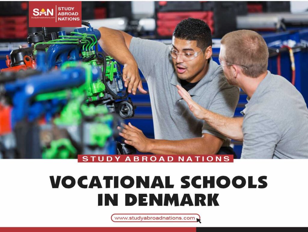 профессиональные школы в Дании