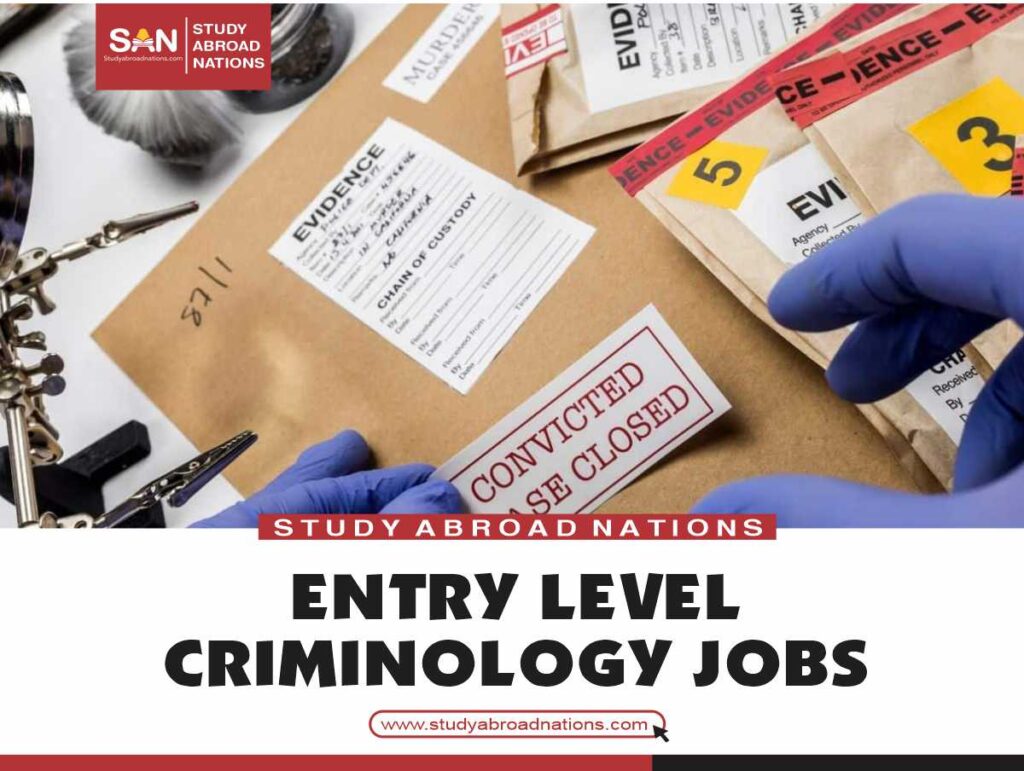 lavori di criminologia entry-level